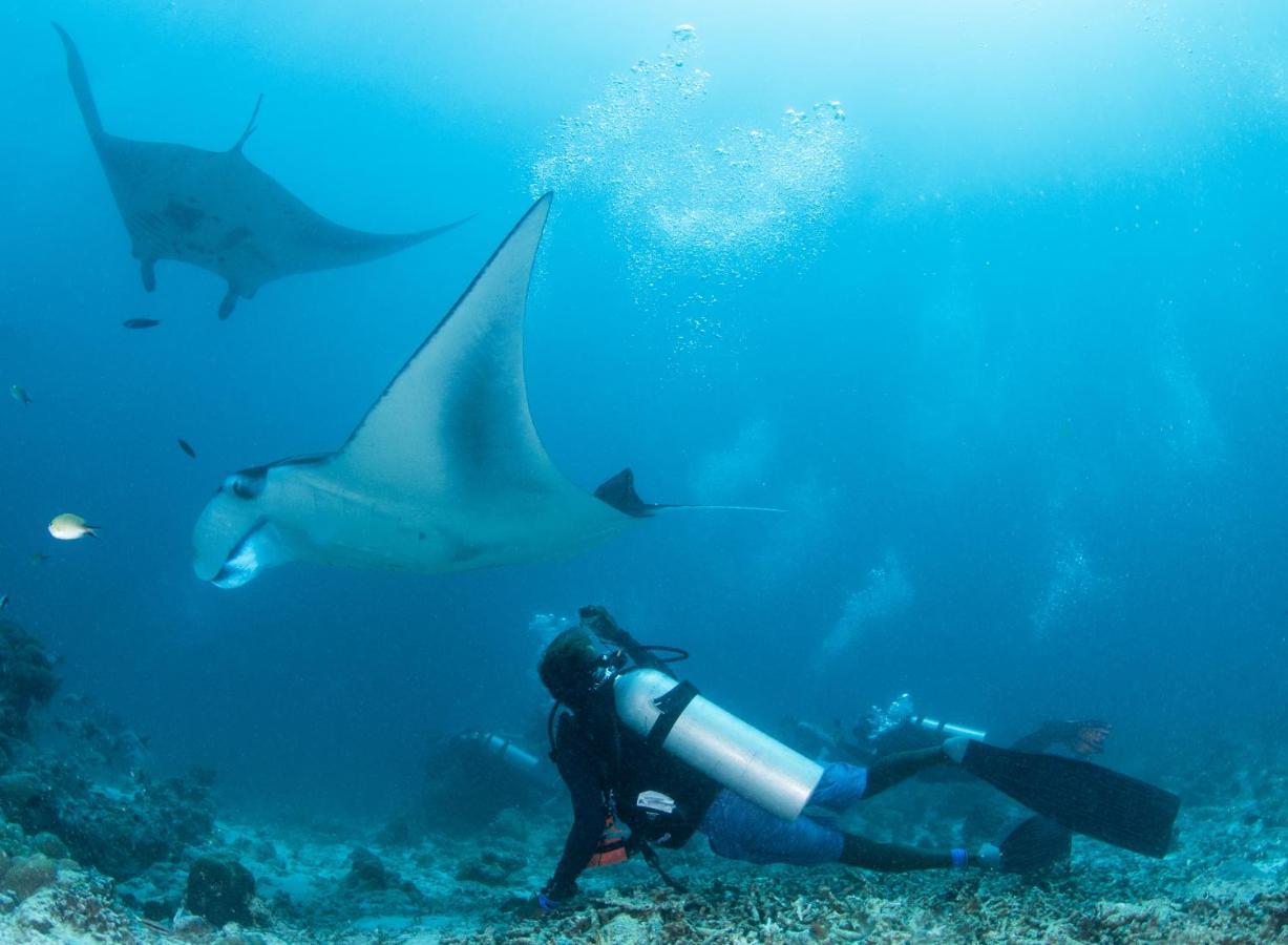 South Ari Dive Center Hotell Dhangethi Exteriör bild