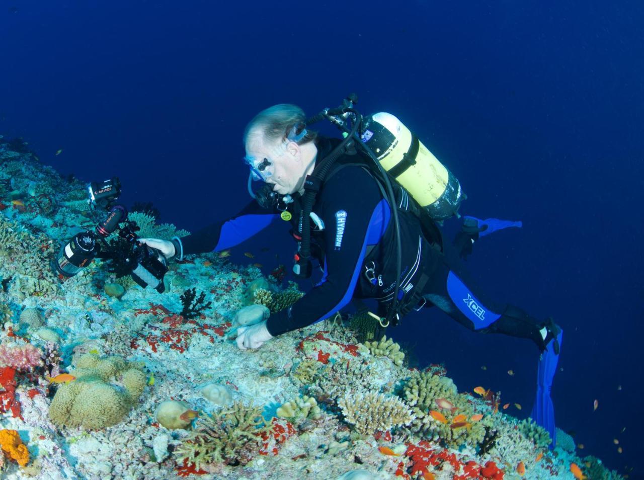 South Ari Dive Center Hotell Dhangethi Exteriör bild