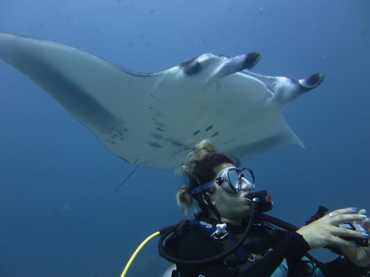 South Ari Dive Center Hotell Dhangethi Exteriör bild