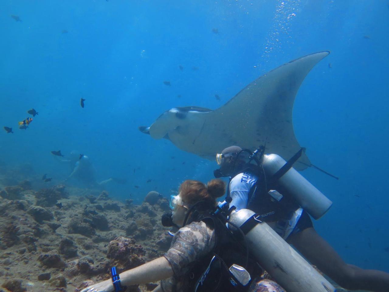 South Ari Dive Center Hotell Dhangethi Exteriör bild