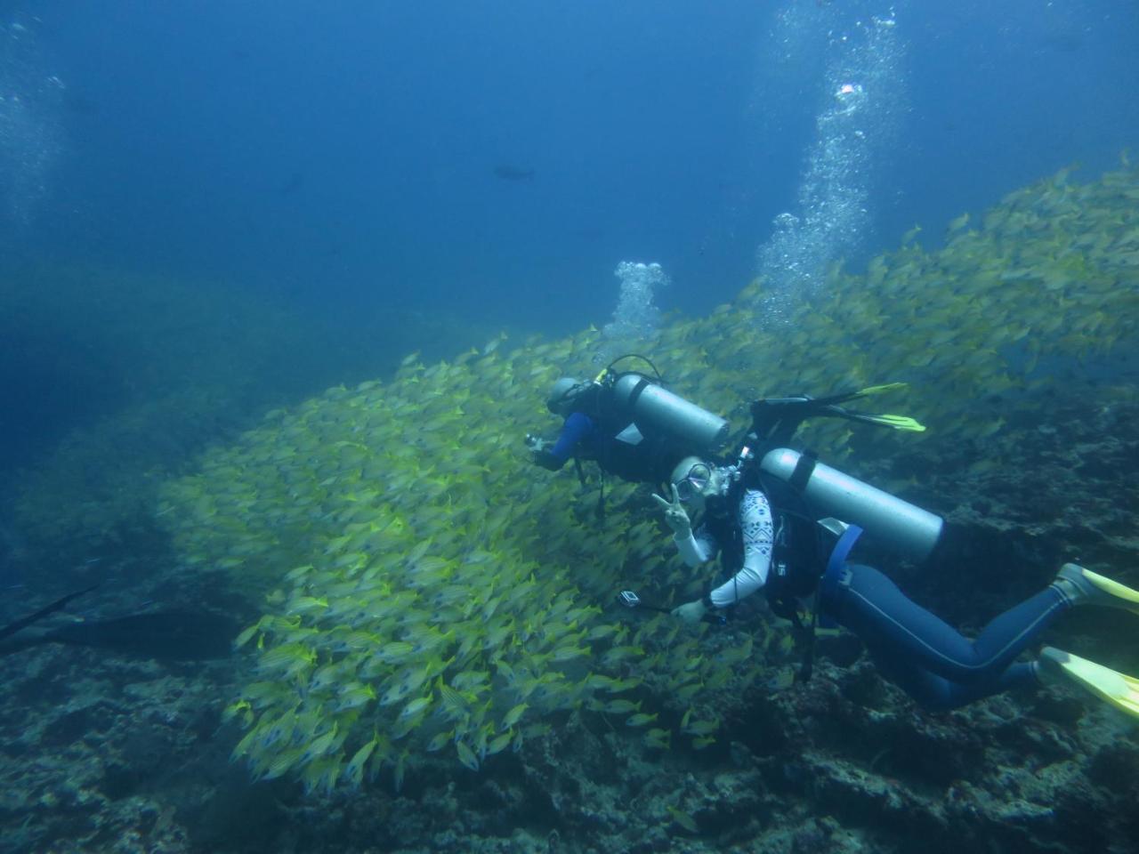 South Ari Dive Center Hotell Dhangethi Exteriör bild