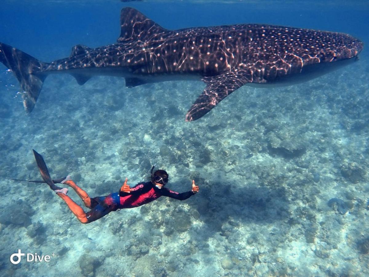 South Ari Dive Center Hotell Dhangethi Exteriör bild